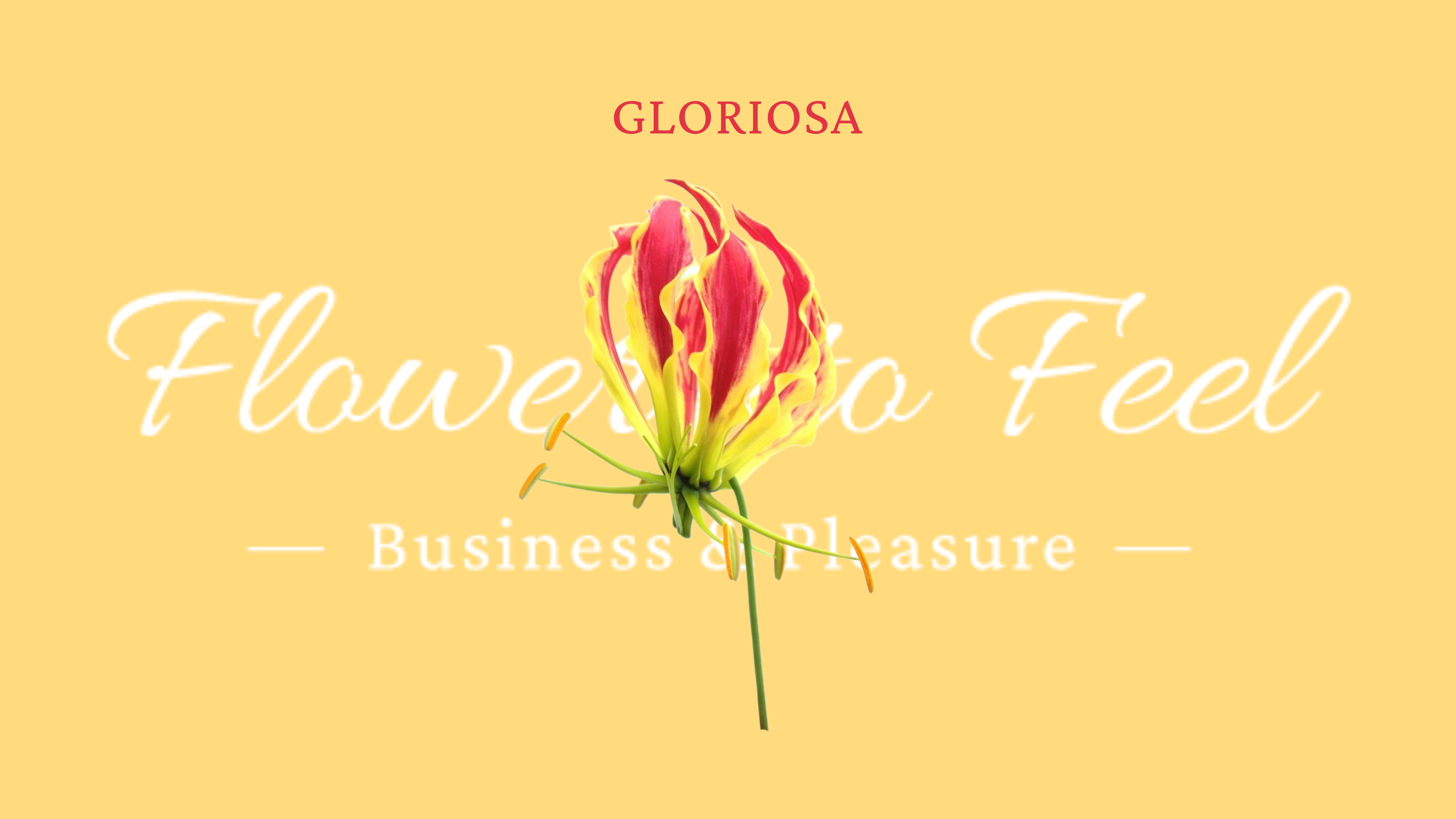Gloriosa
