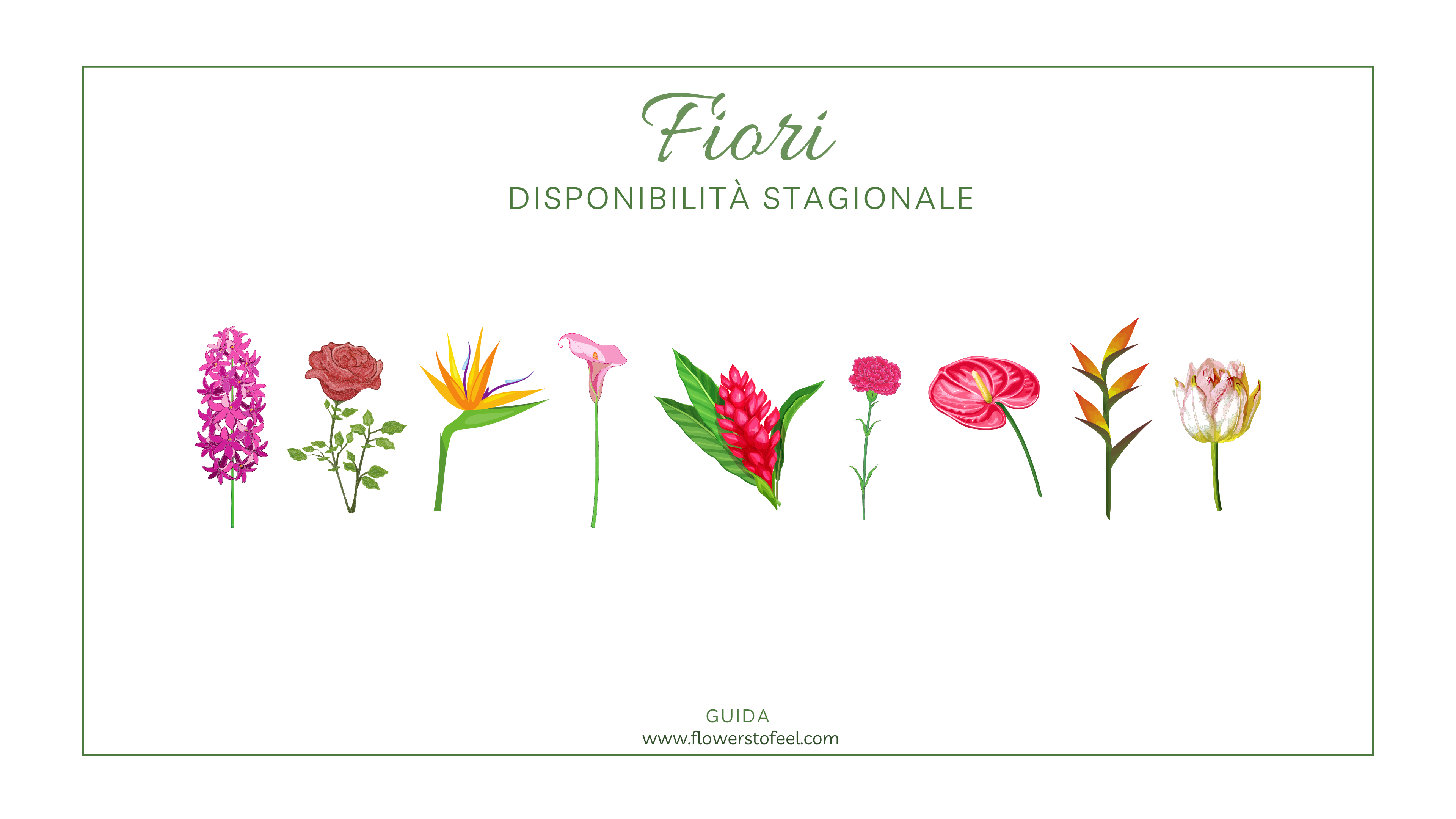Guida Fiori Recisi