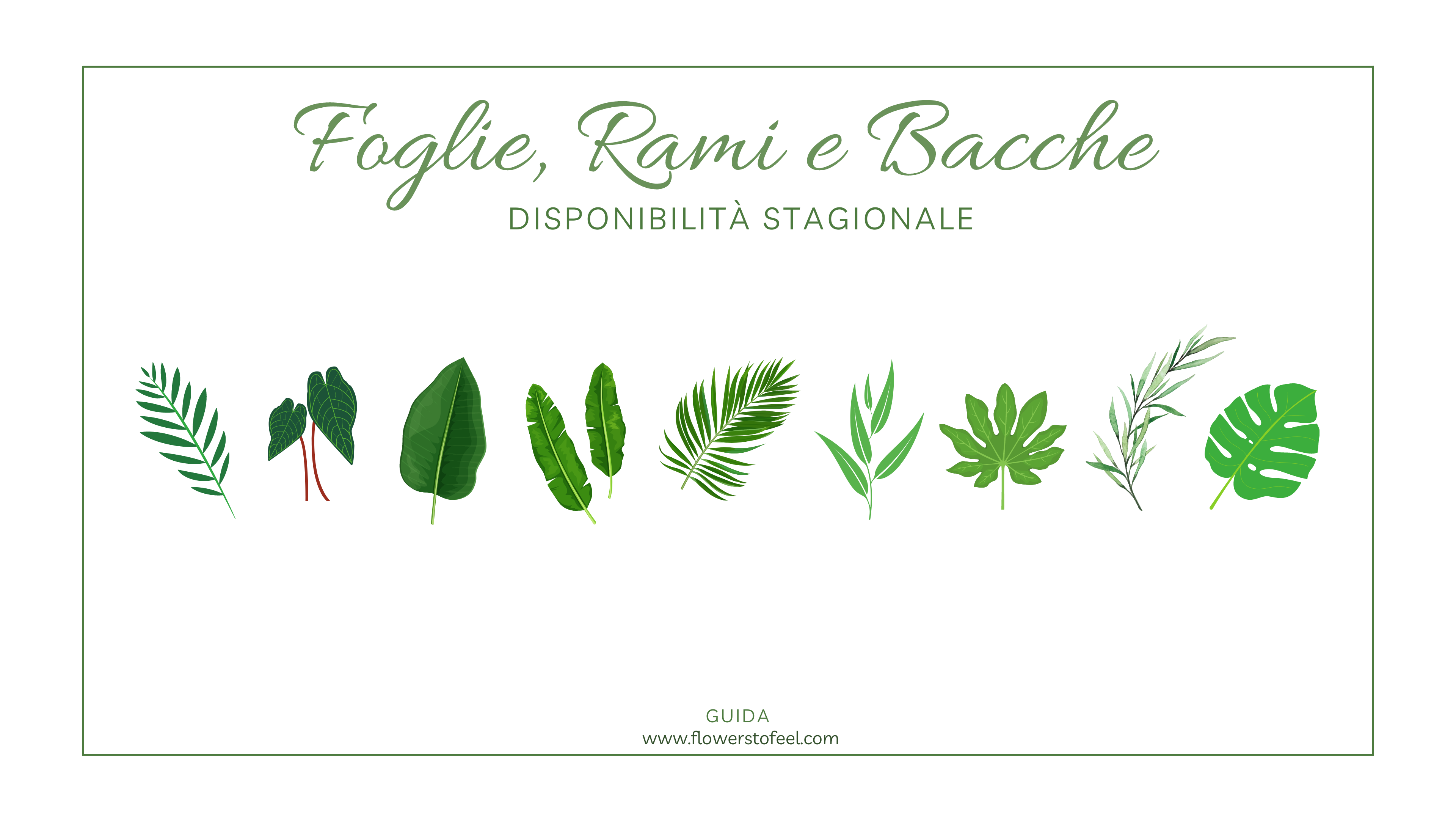 Guida Foglie, Rami e Bacche