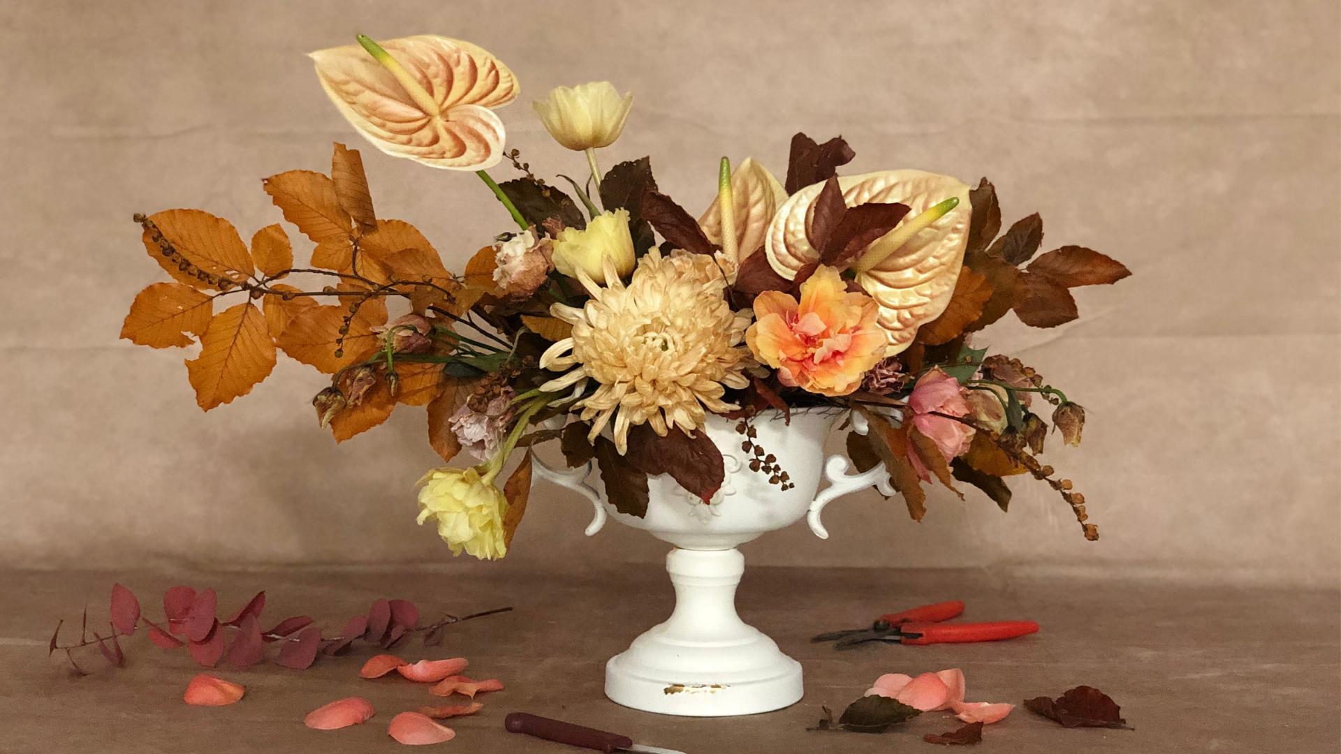 Composizione Foam Free - Palette Caramello