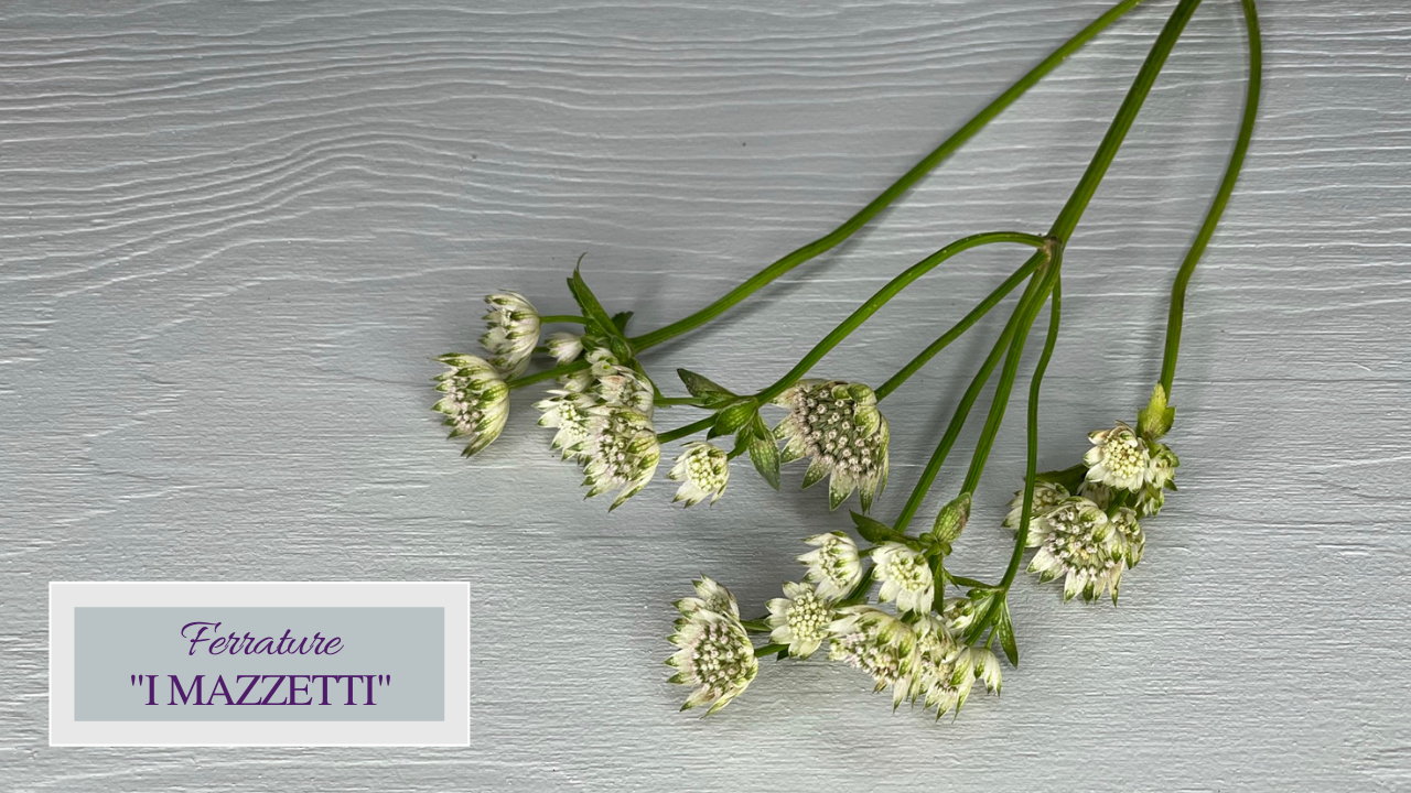 Ferrature - I Mazzetti
