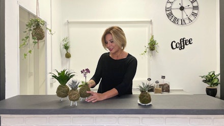 Flowers to Feel Video