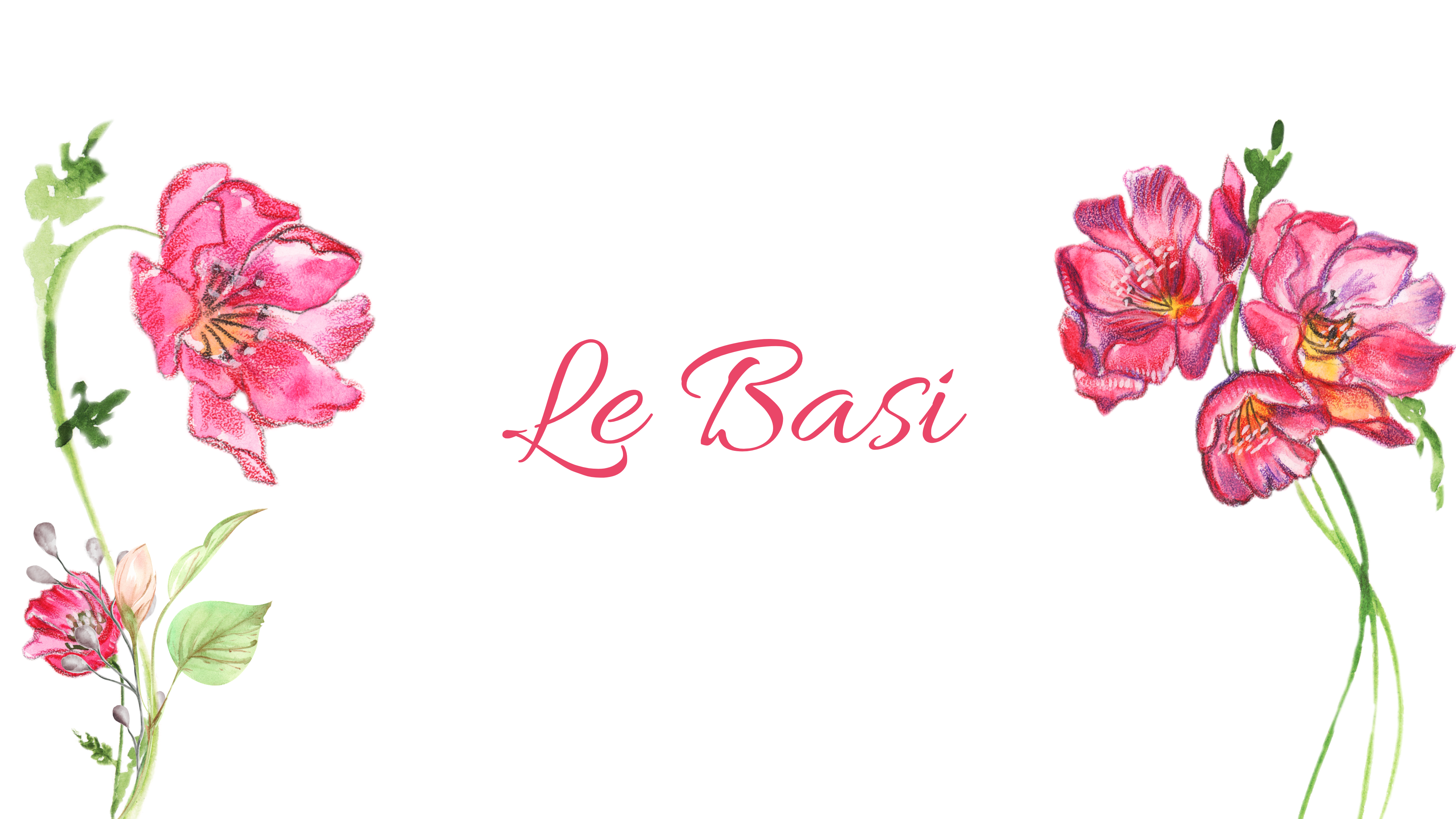 LE BASI
