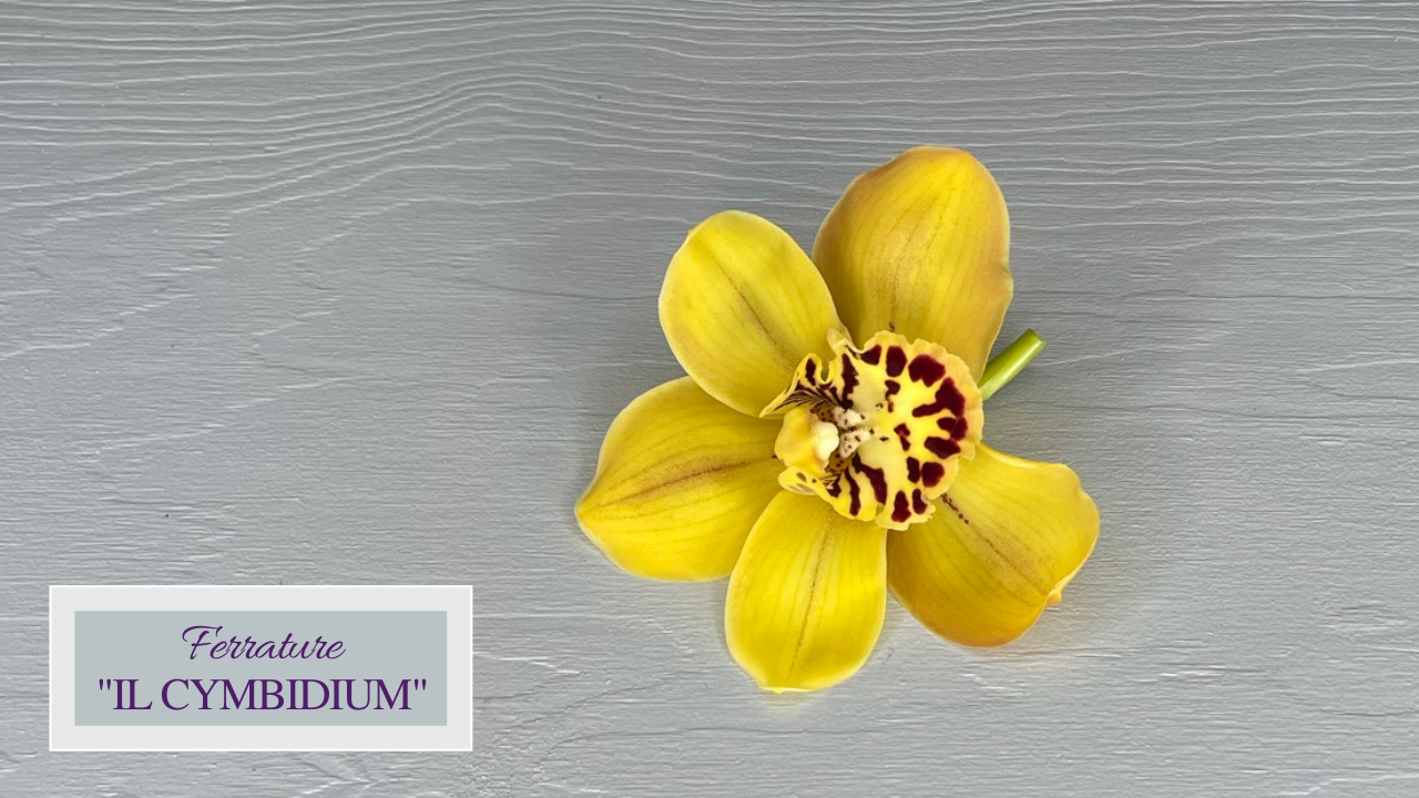 Ferrature - Il Cymbidium