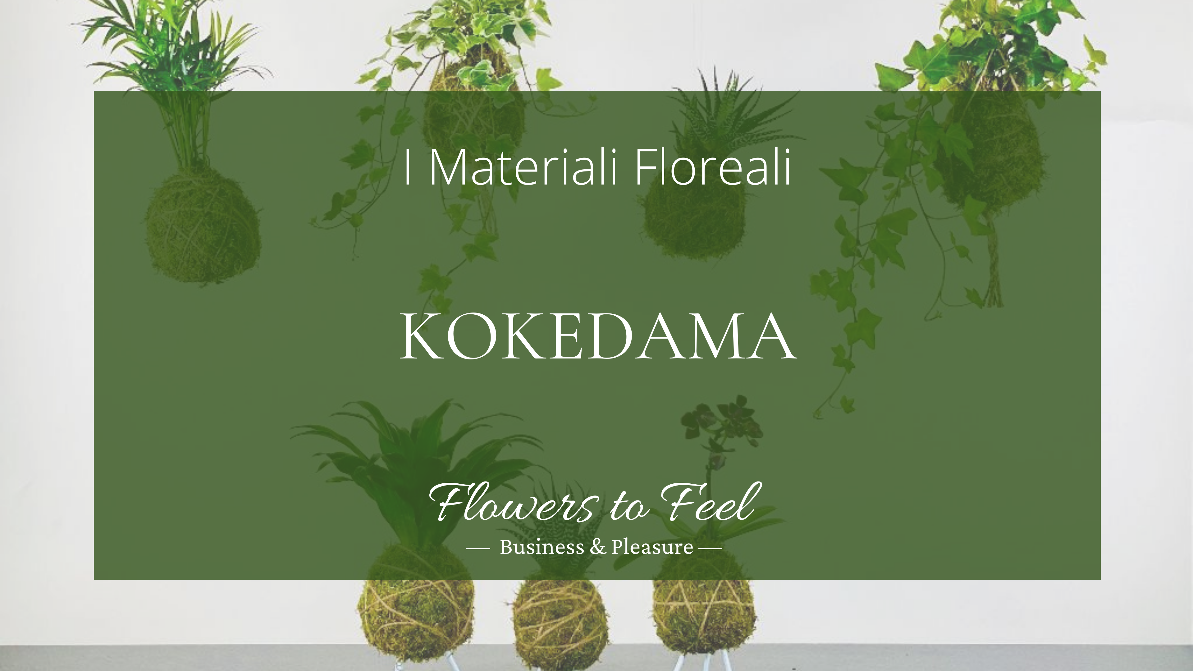 Kokedama - Lista Materiali
