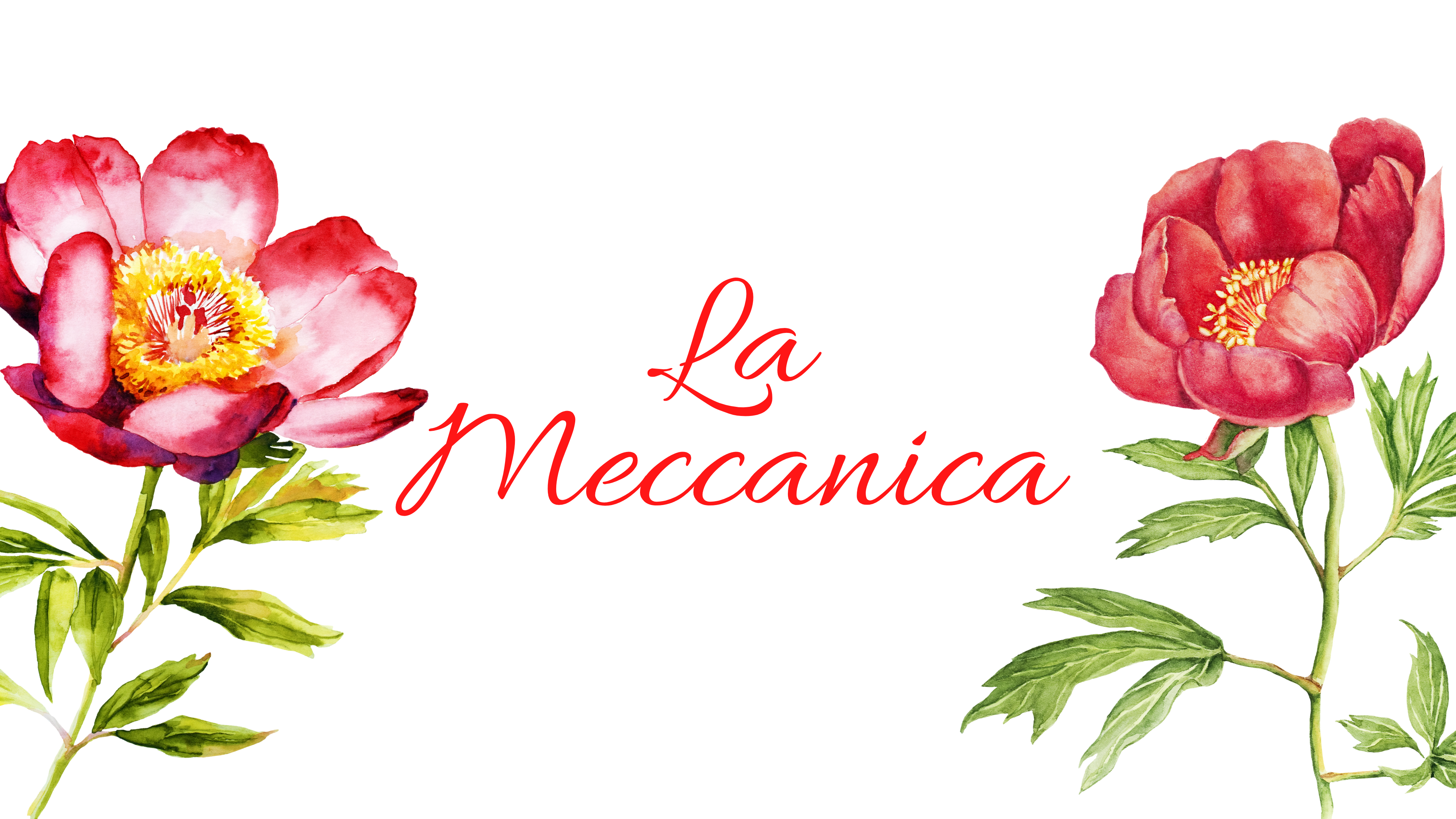 LA MECCANICA