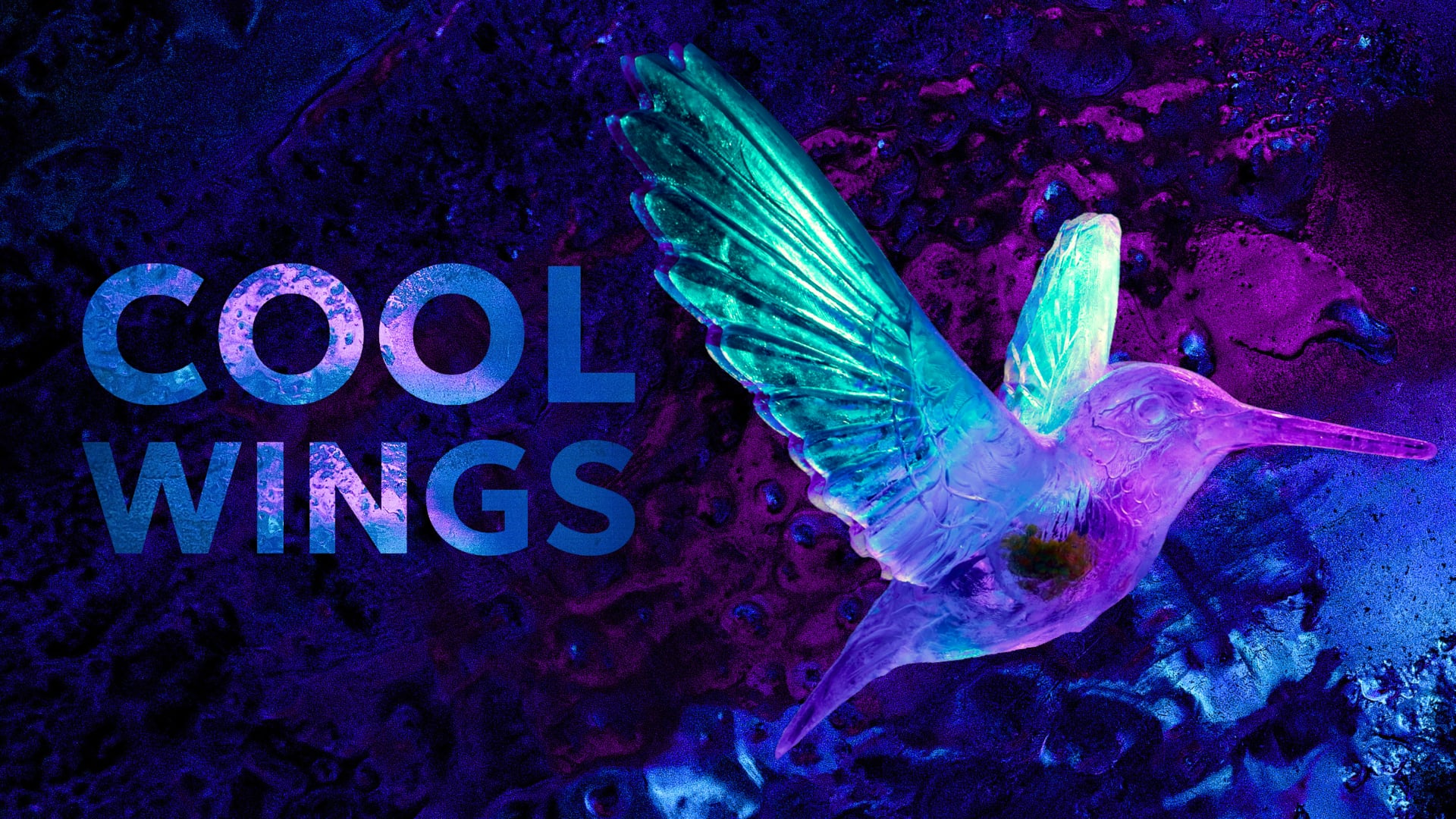 James Tottle - Ice Sculptor | Cool Wings Documentary