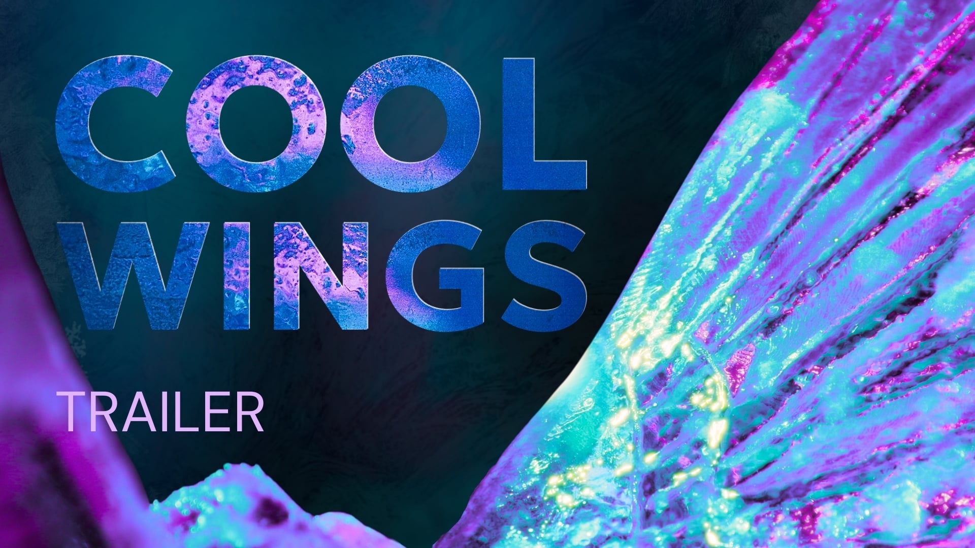 James Tottle - Ice Sculptor | Cool Wings Trailer