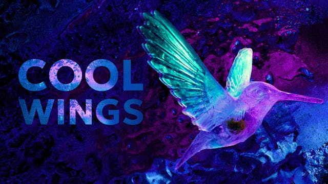 Cool Wings
