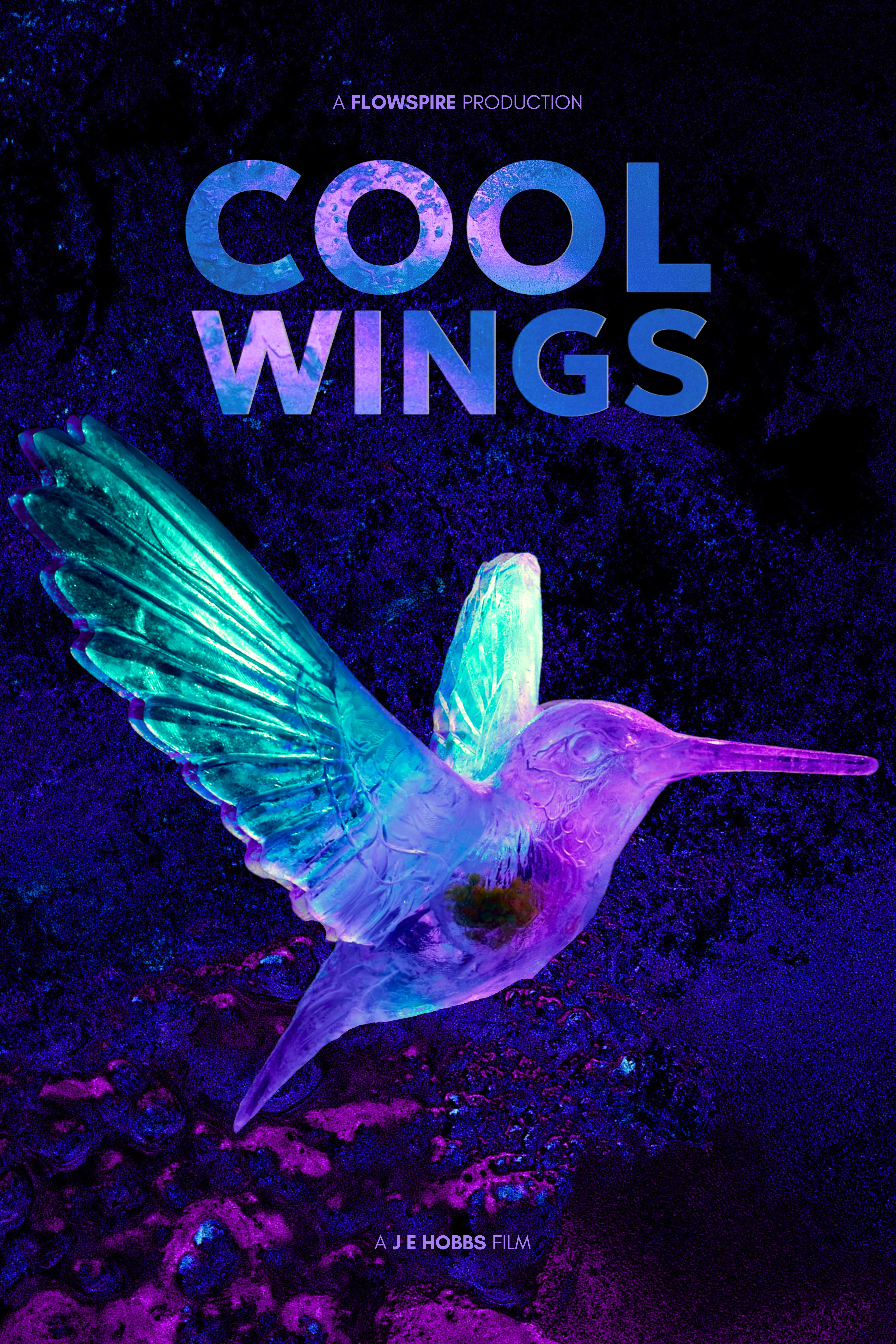 James Tottle - Ice Sculptor | Cool Wings Documentary