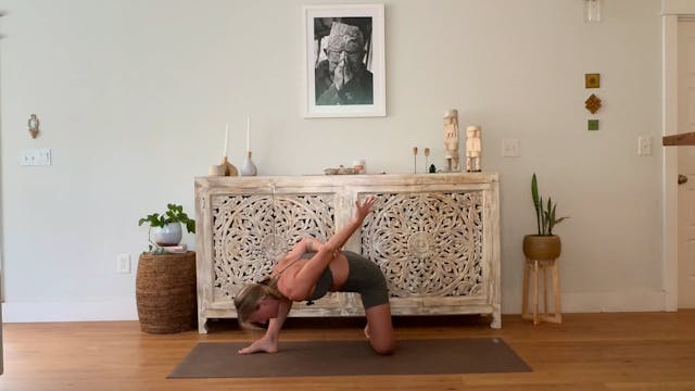 Figure 4 Arms & Dolphin Pose