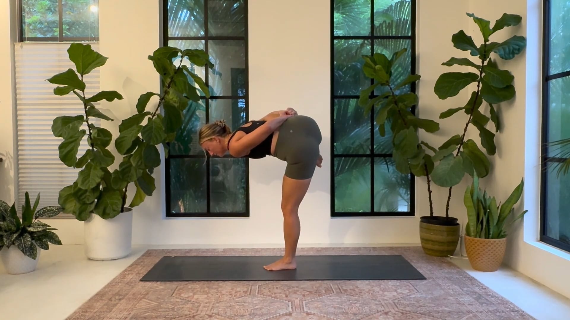 Funky Bird of Paradise