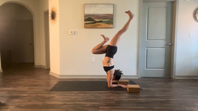 Fun Pincha Flow