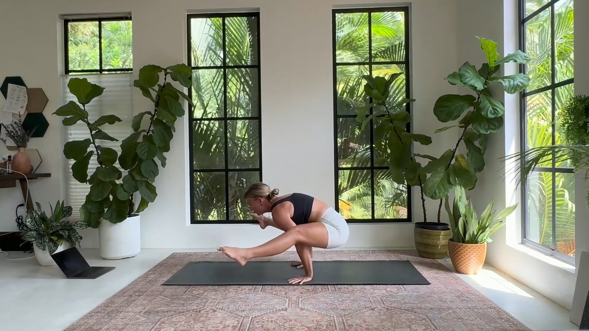 Titbasana (optional) Peak Pose Flow