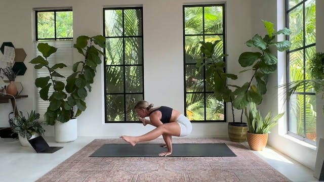 Titbasana (optional) Peak Pose Flow