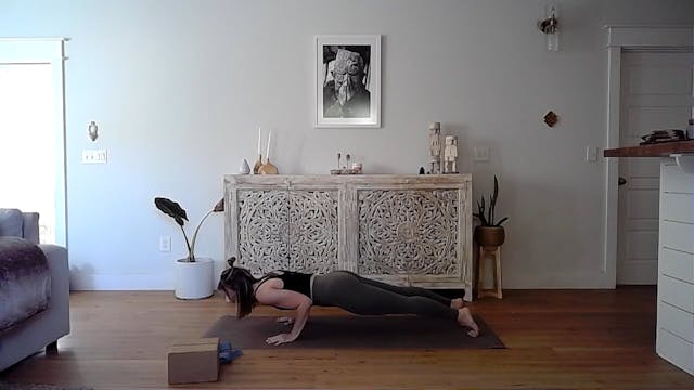 Chaturanga & Vinyasa Explained