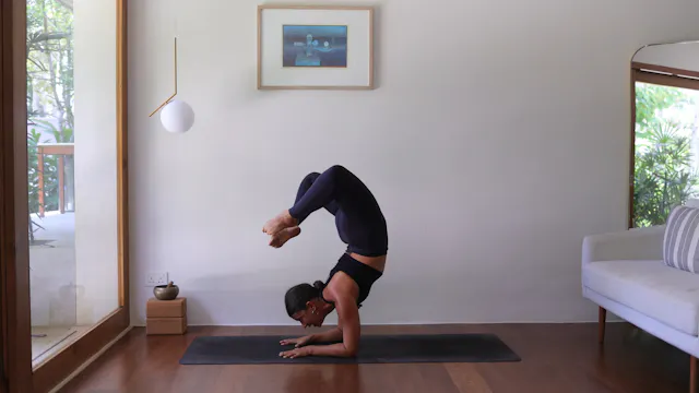 Variations de pincha mayurasana: alle...