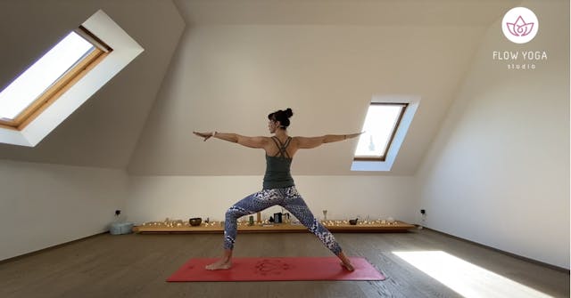 Vinyasa Flow