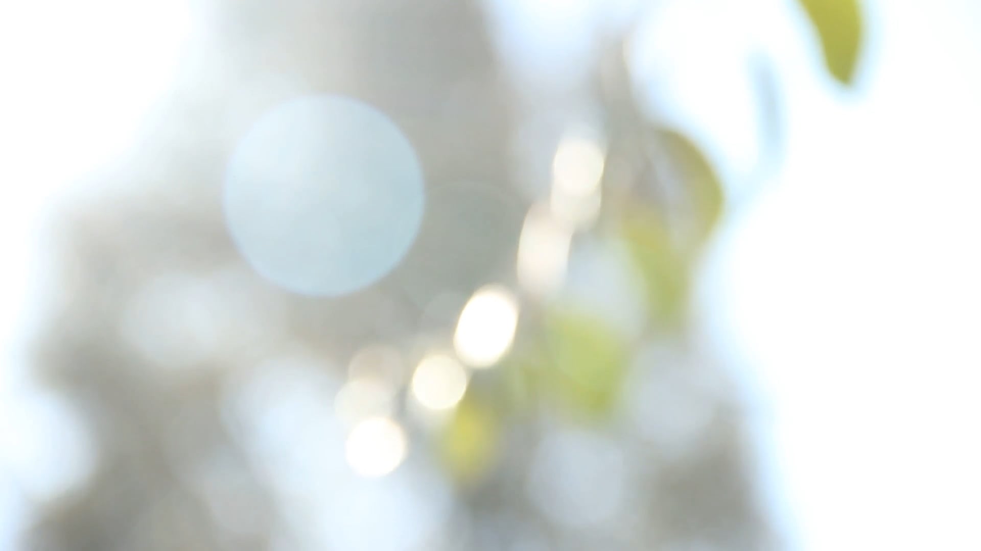 video - episode Title