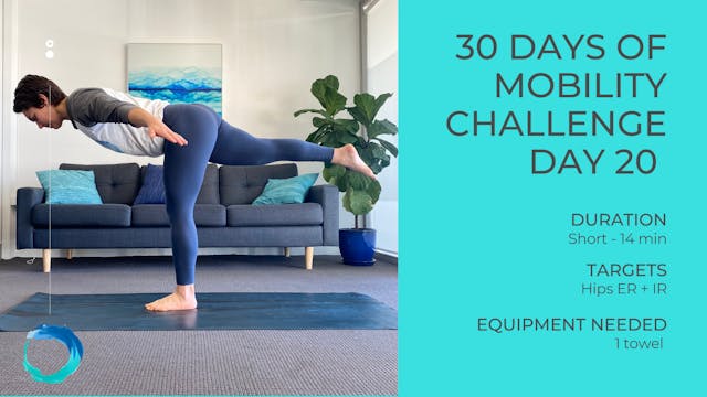Day 20: Hips ER + IR