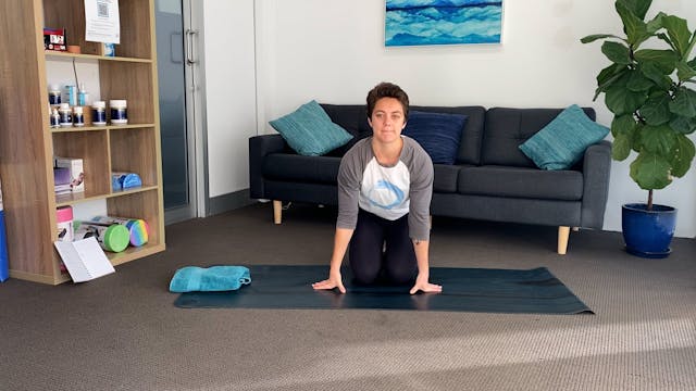 Wrists, Shoulders & Thoracic Spine
