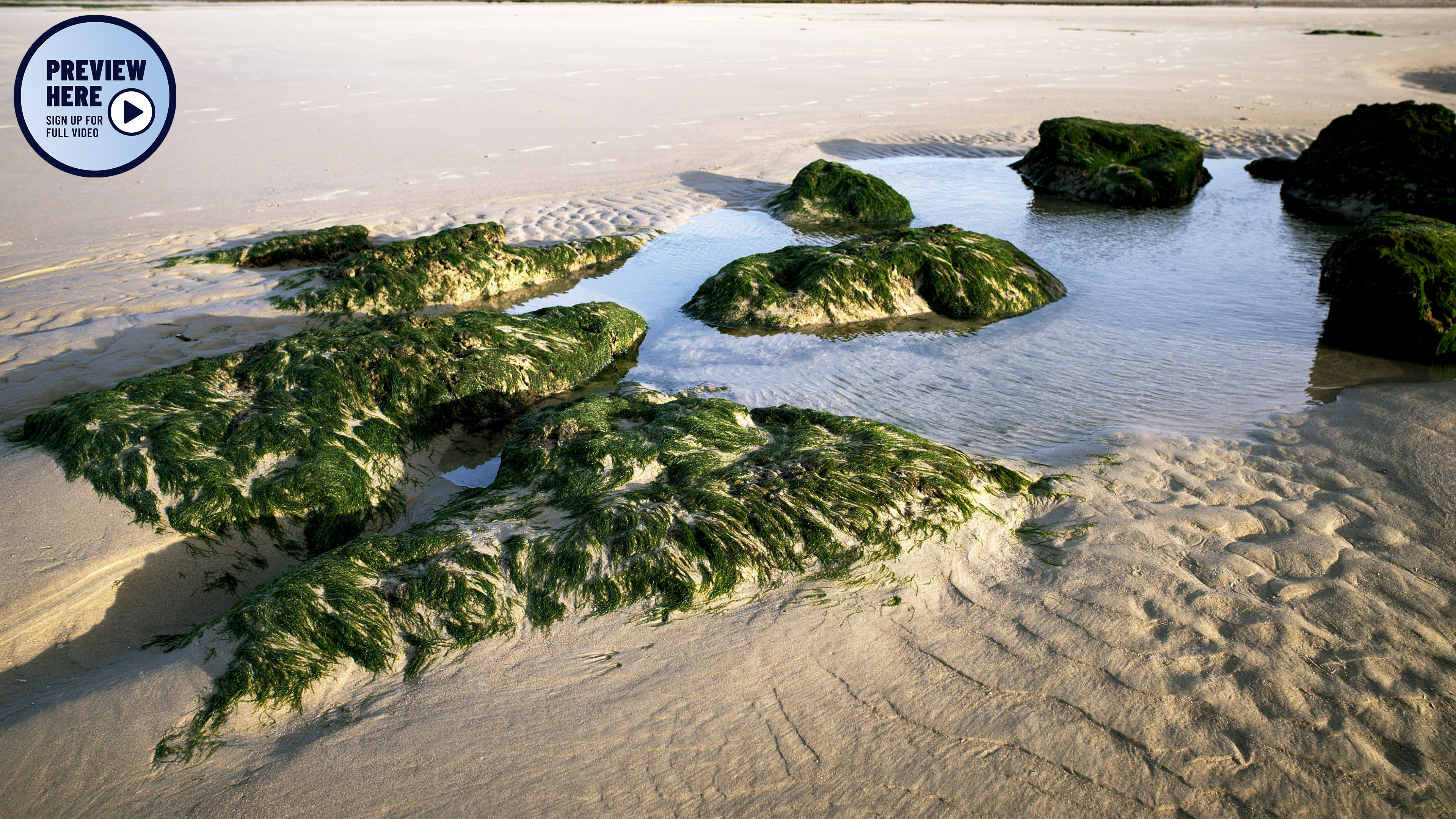 The Bay of Wissant, France (Preview)
