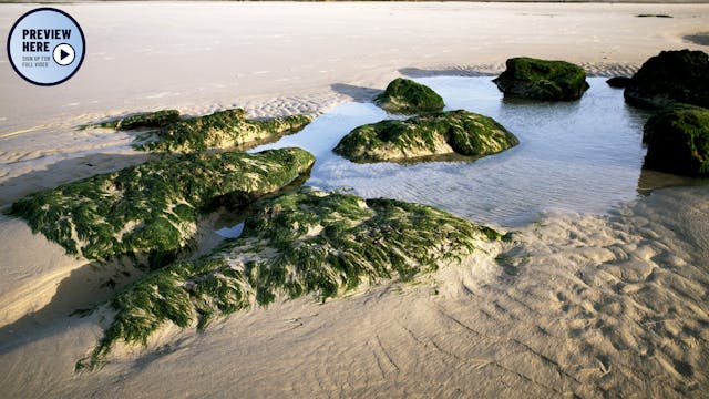 The Bay of Wissant, France (Preview)