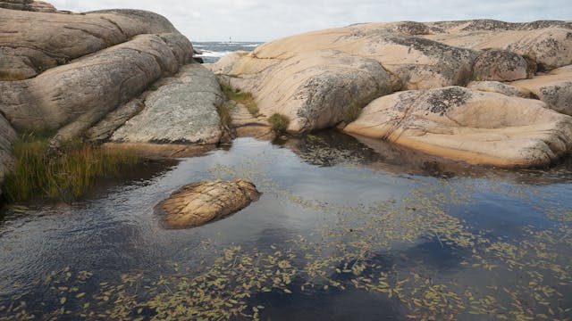 Tjurpannan - Nature Reserve, Sweden, Part 1
