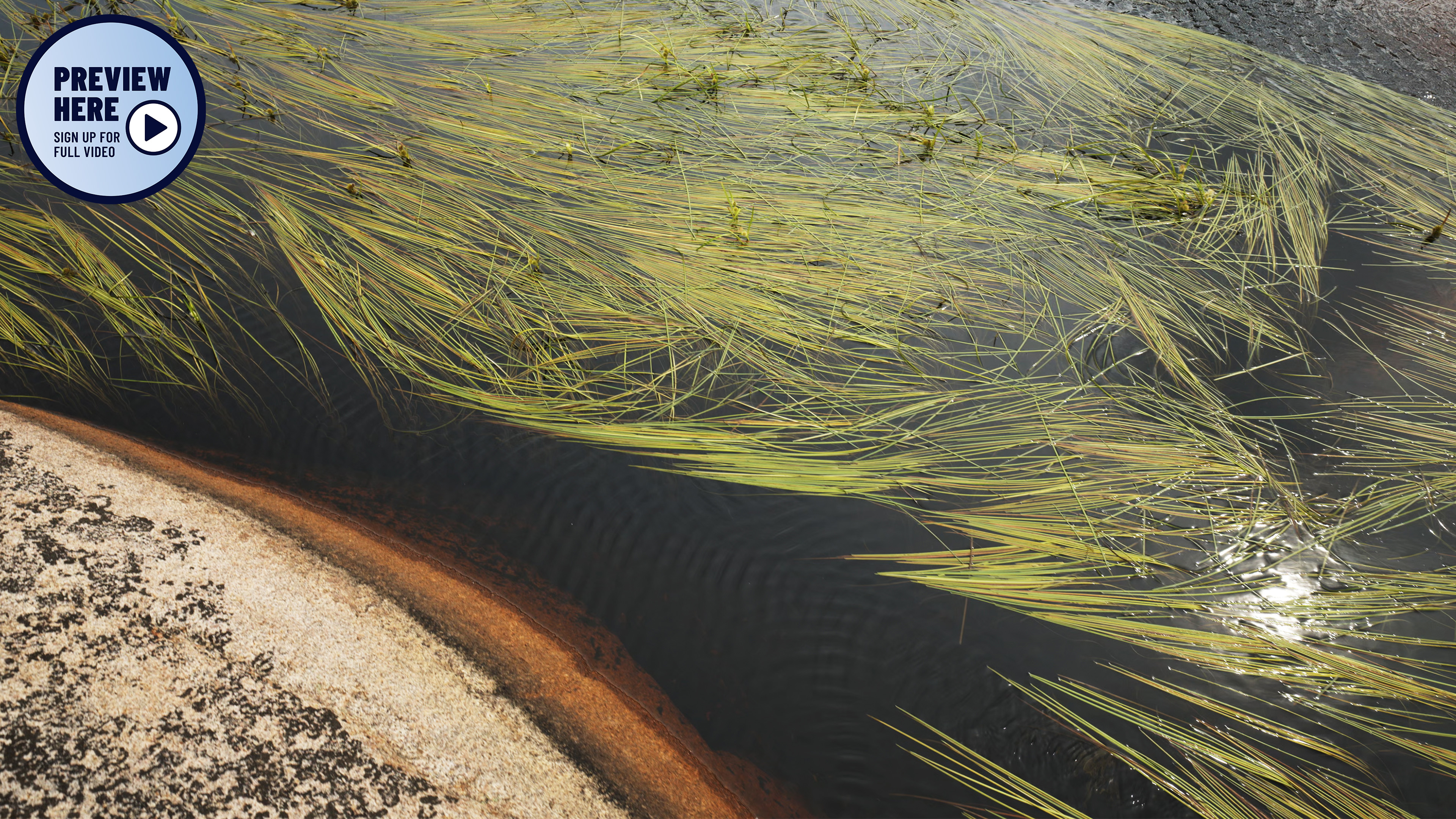 Tjurpannan - Nature Reserve, Sweden, Part 2 (Preview)