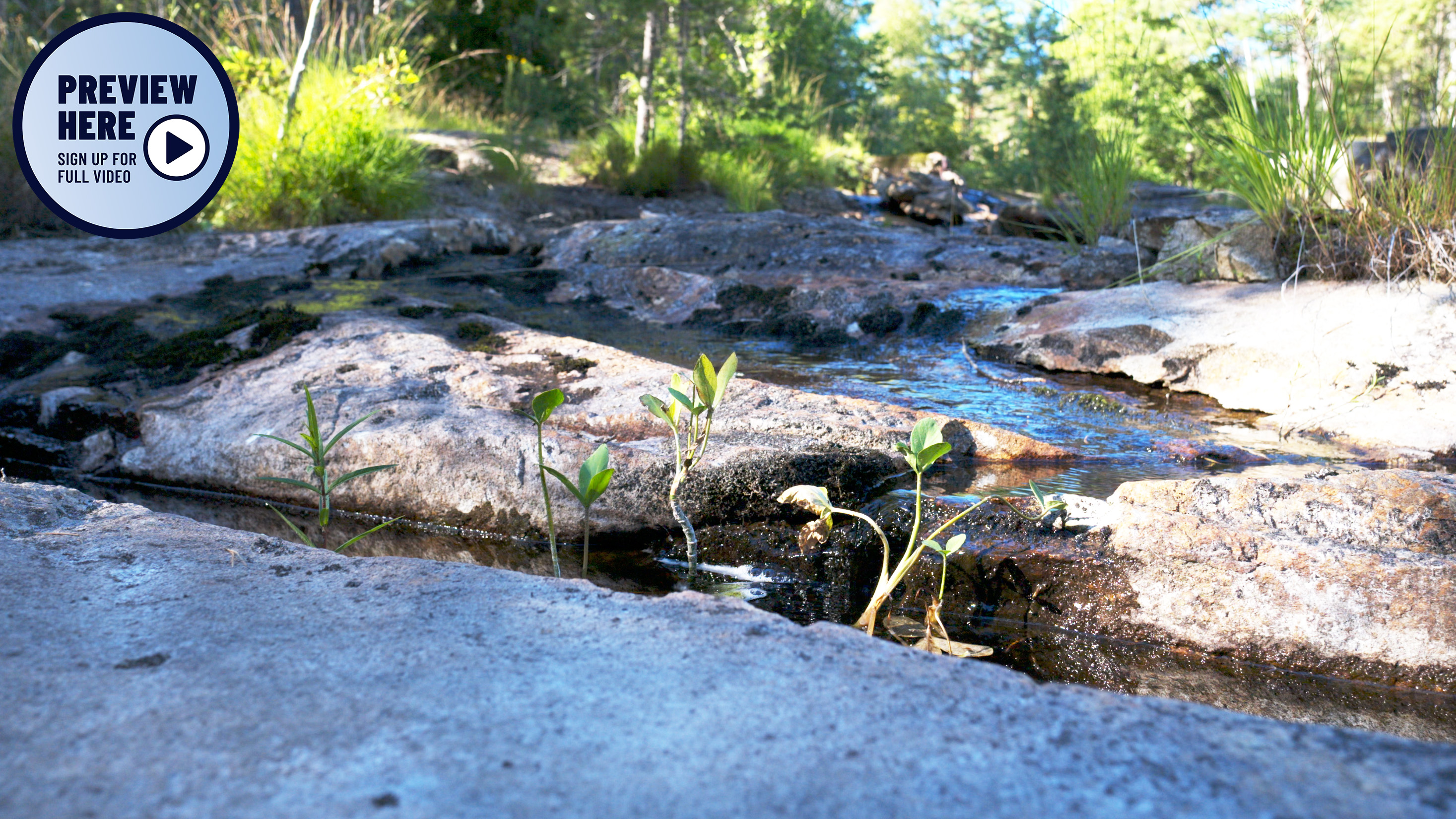 A little bit of the Elja river, Part 1, Halden, Norway (Preview)