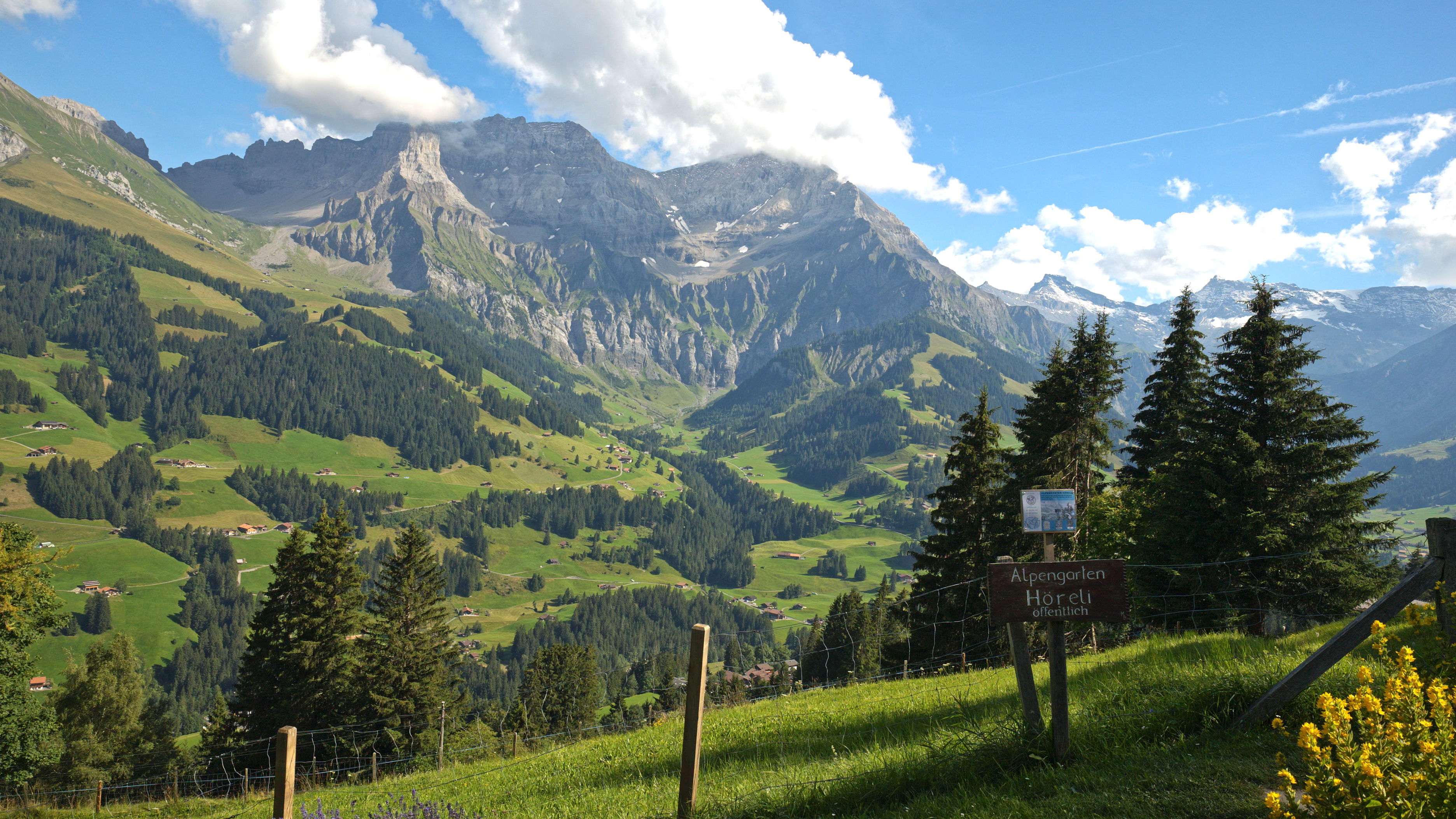 Höreli Alpen Garden, Adelboden, Switzerland
