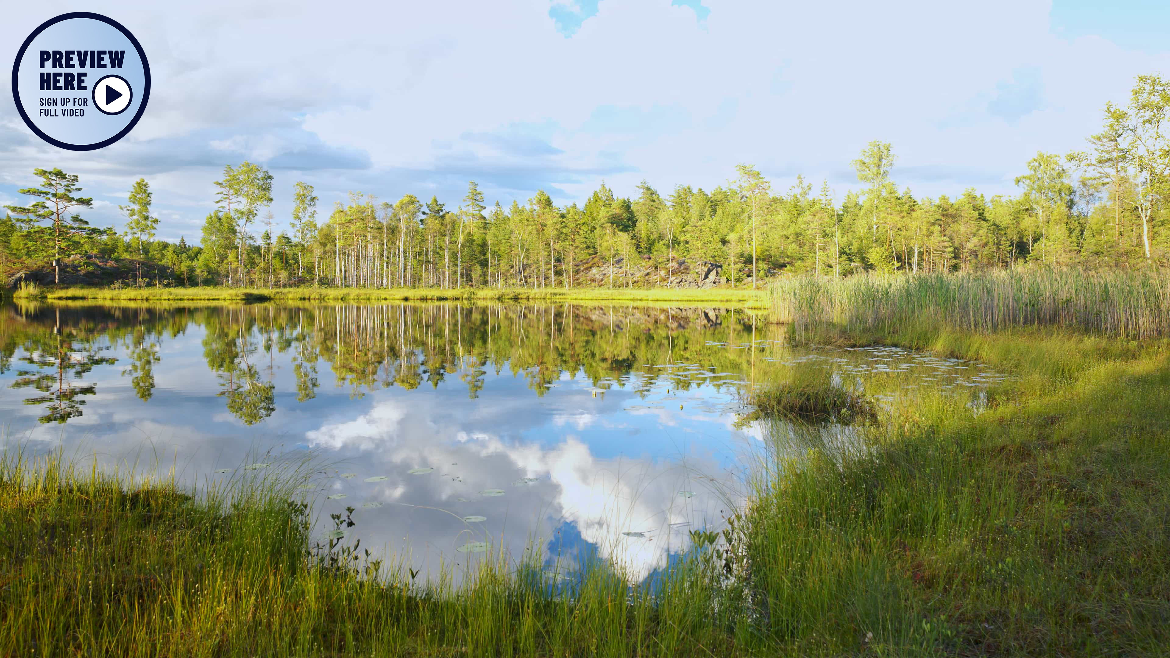 The Little Lake, Dals-Ed, Sweden (Preview)