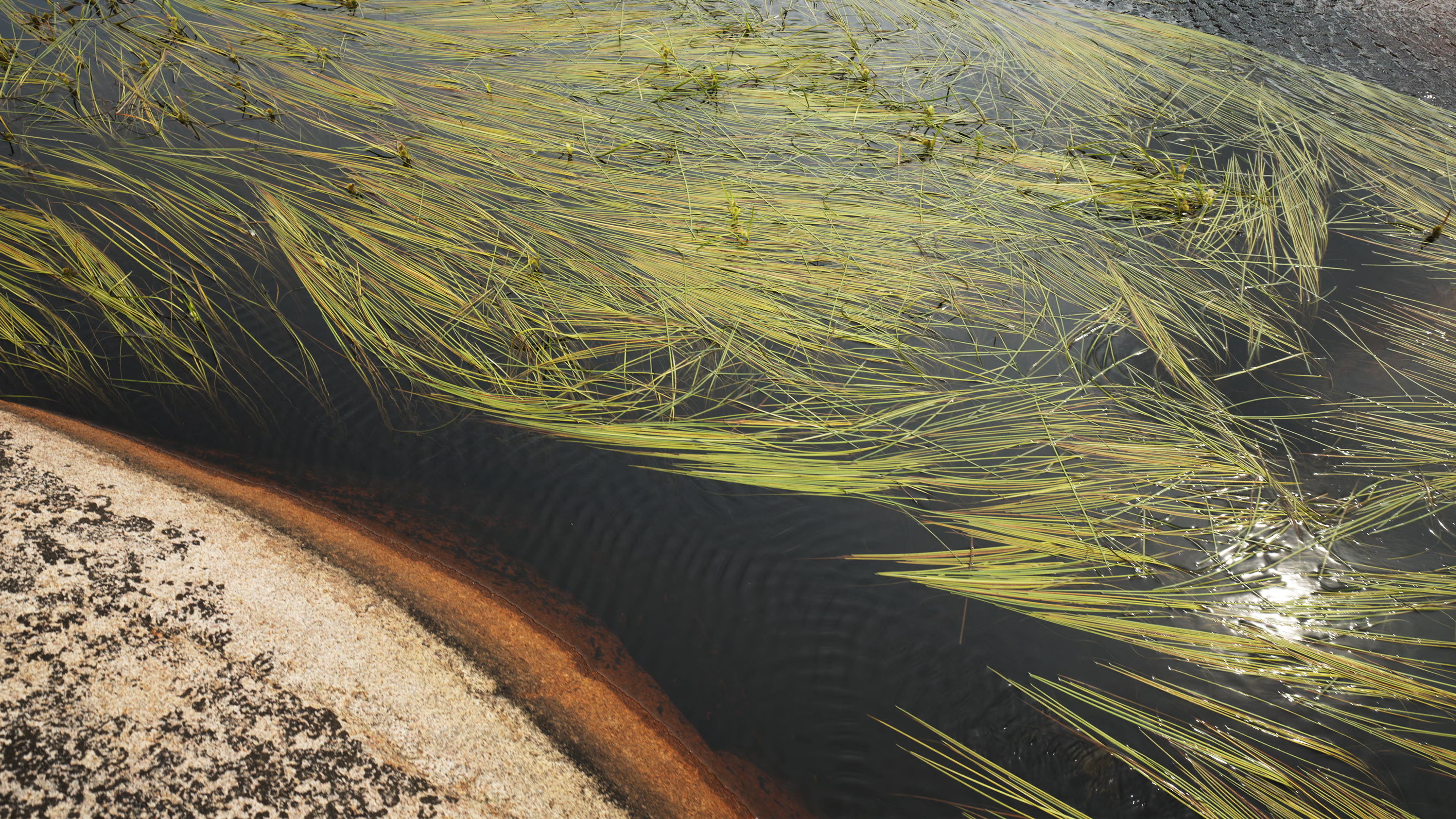 Tjurpannan - Nature Reserve, Sweden, Part 2