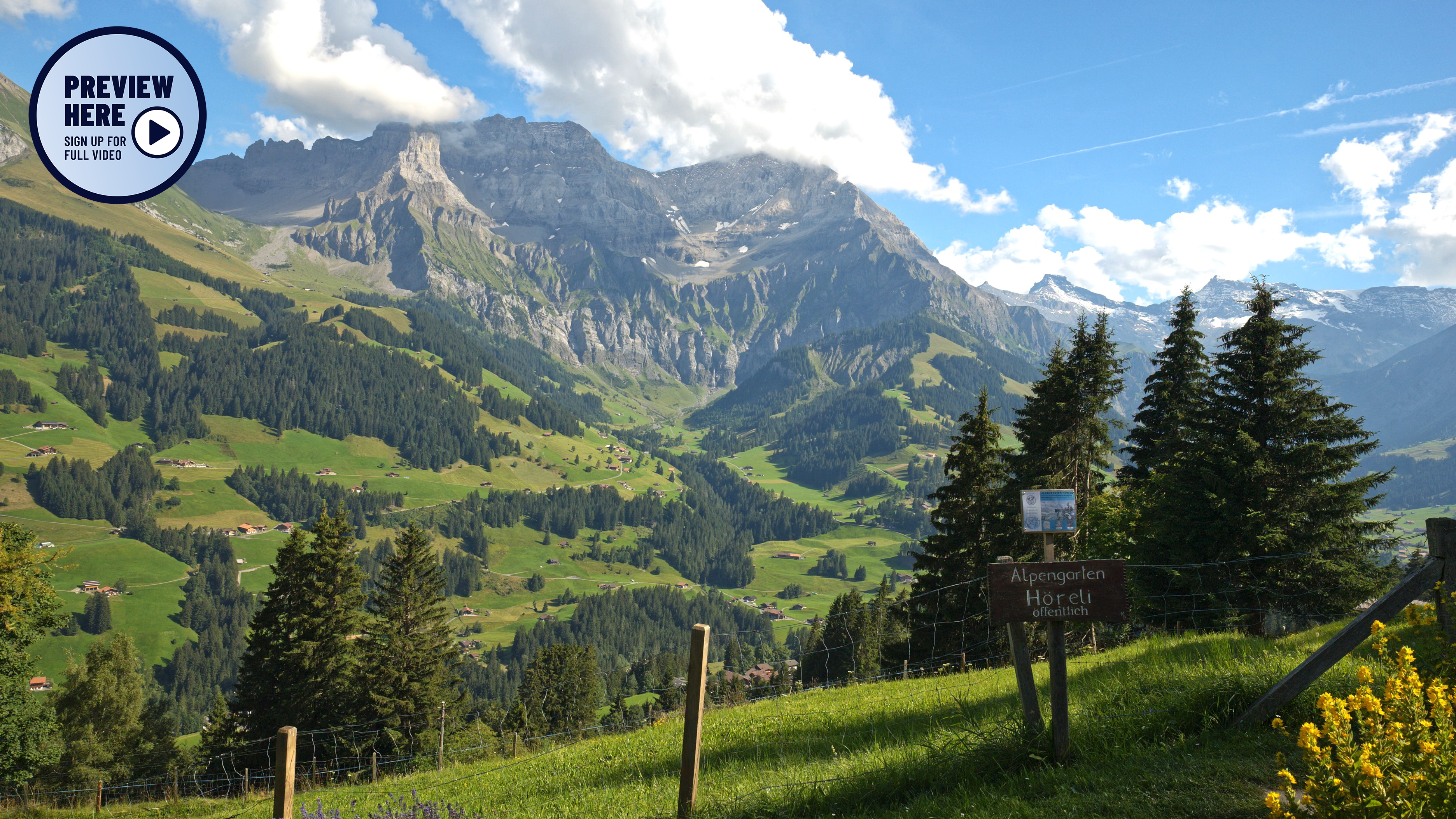Höreli Alpen Garden, Adelboden, Switzerland (Preview)