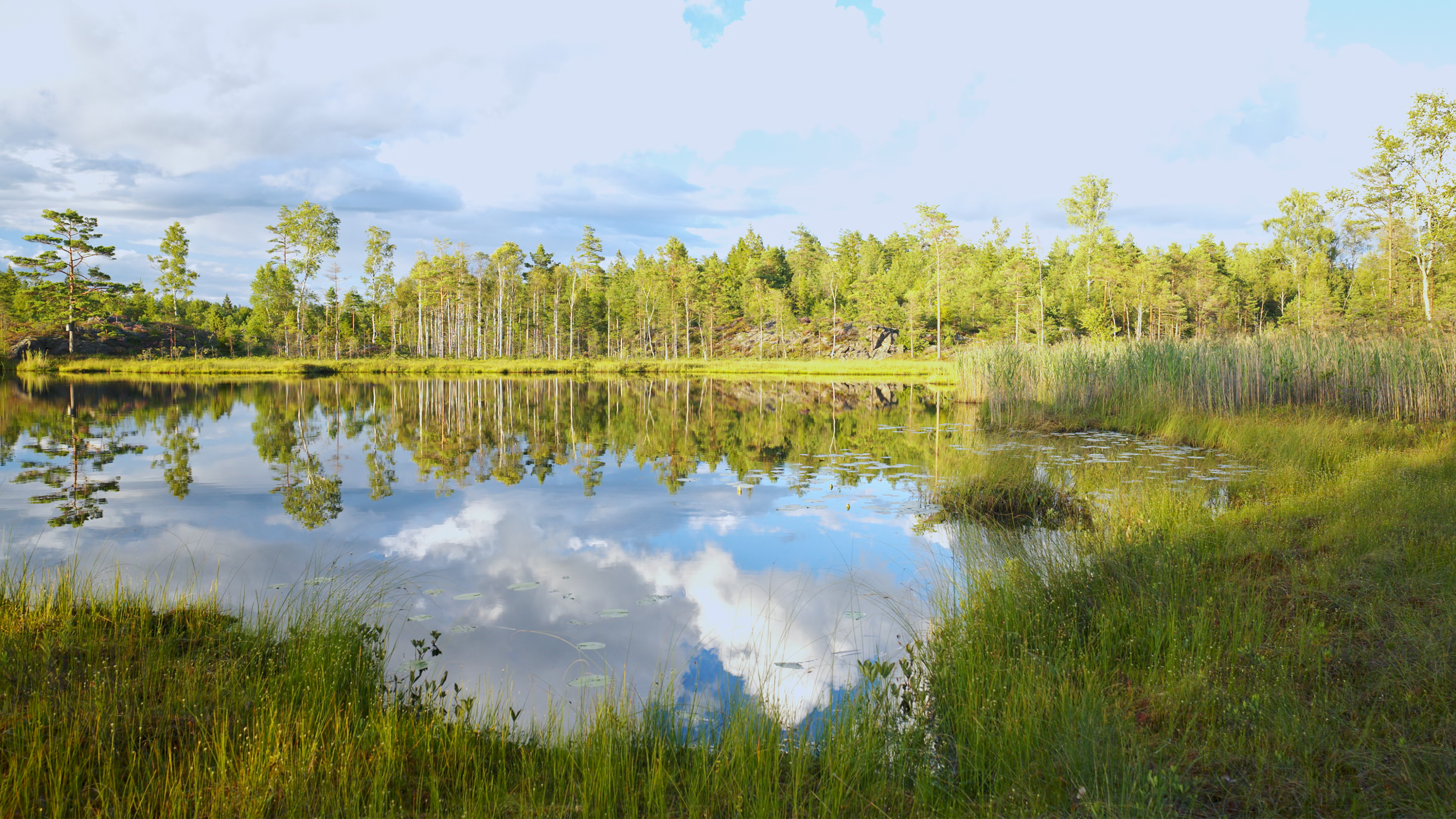 The Little Lake, Dals-Ed, Sweden