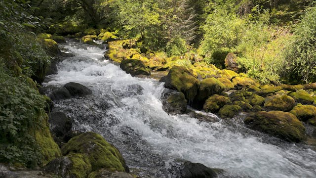 A glimpse of the Gljun River, Bovec, ...