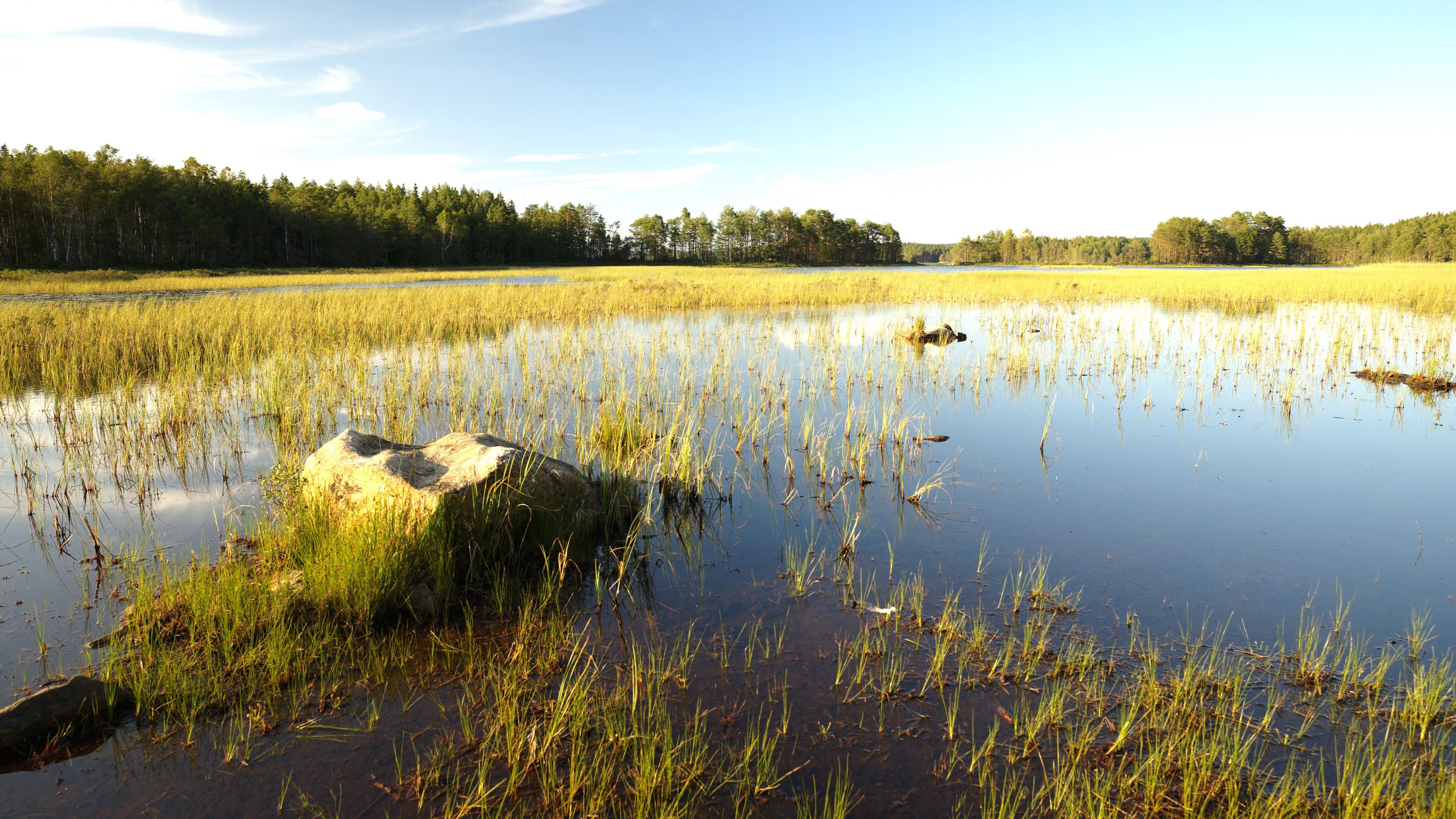 Hallerudälven River and Lake Södra Boksjön, Sweden/Norway