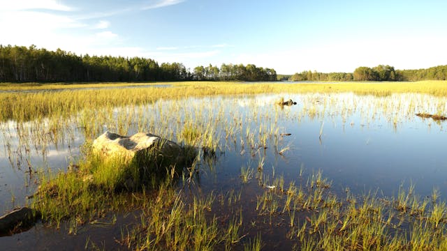 Hallerudälven River and Lake Södra Boksjön, Sweden/Norway