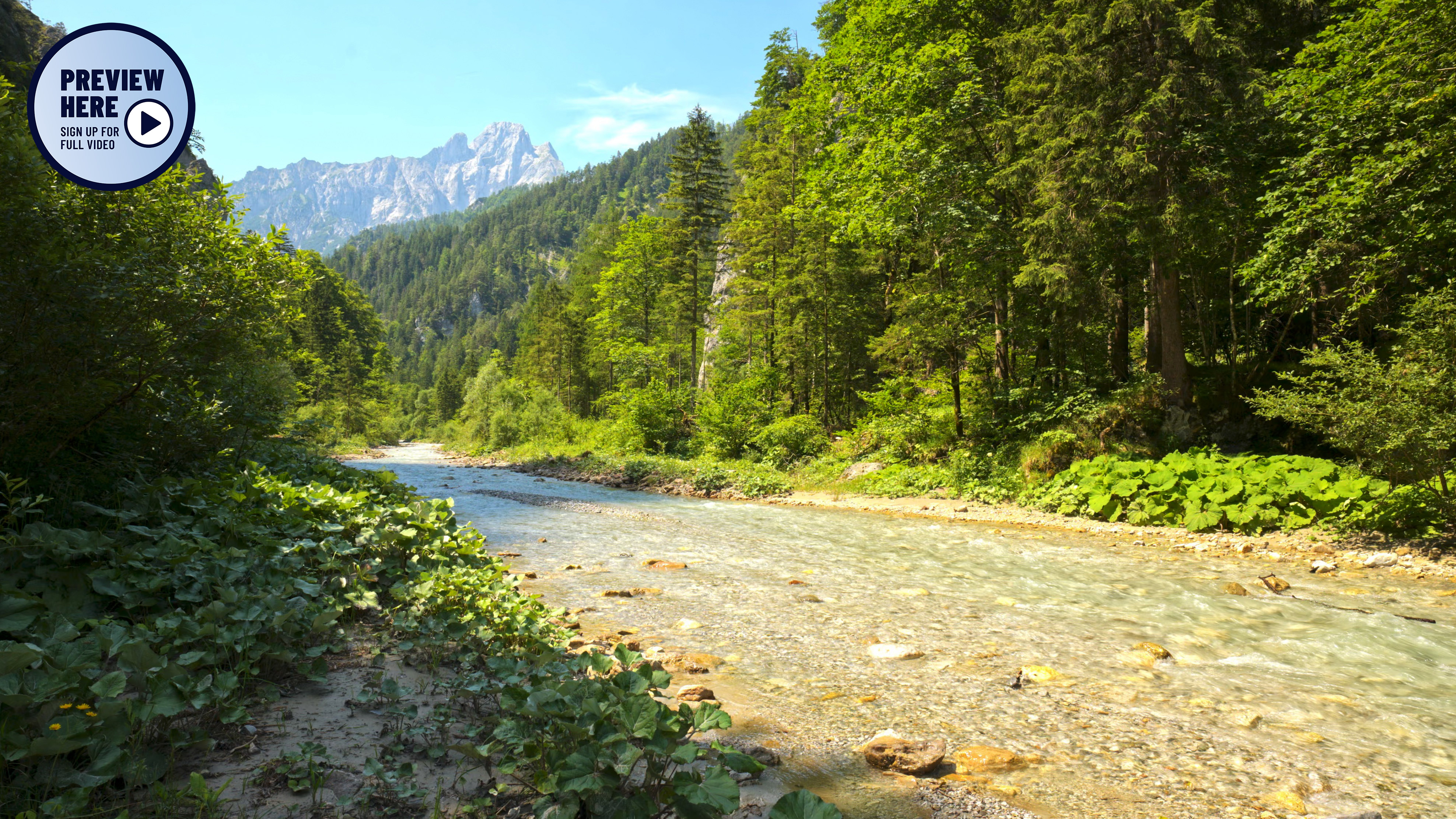 Johnsbach Gesäuse National Park Austria (Preview)
