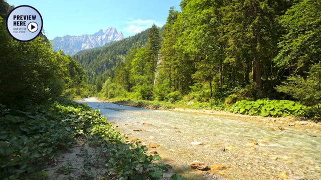 Johnsbach Gesäuse National Park Austr...