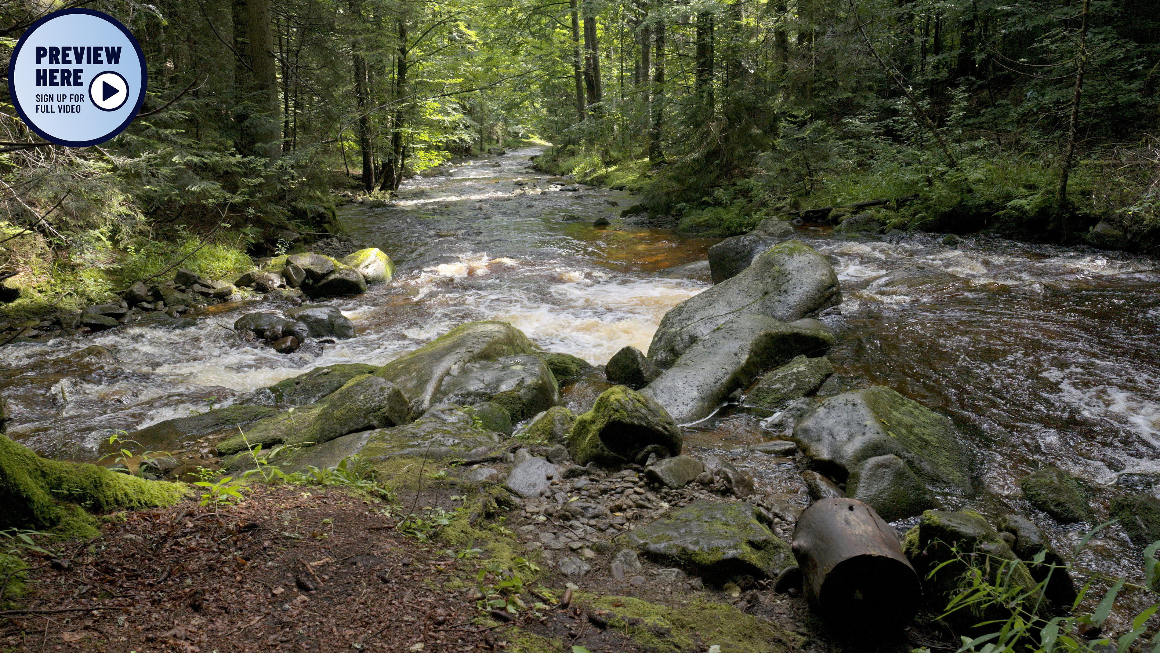 Where two rivers merge, Pri Bajgou, Slovenia (Preview)