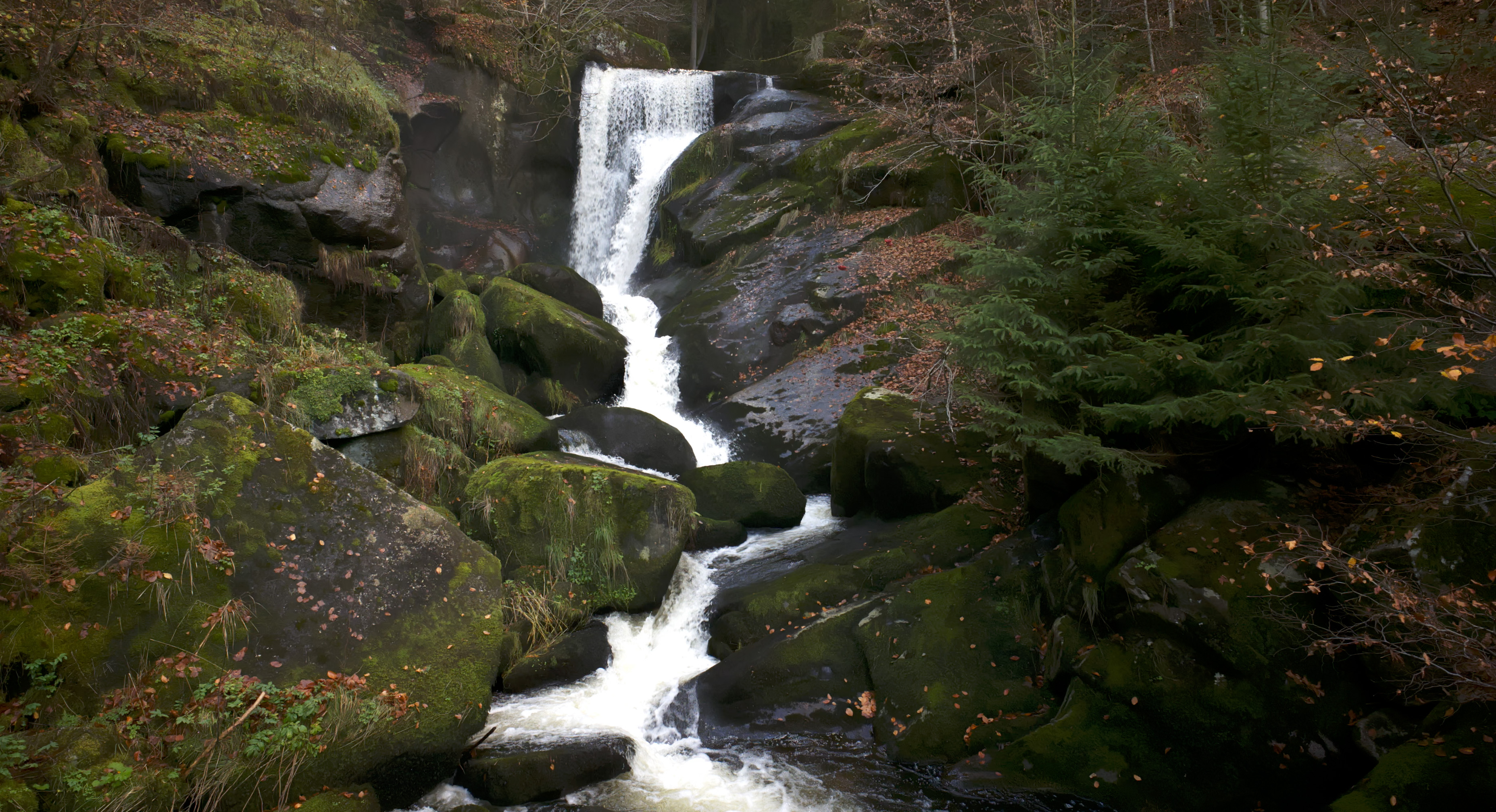 Southern Black Forest and Triberg Waterfalls, Nature Park, Germany