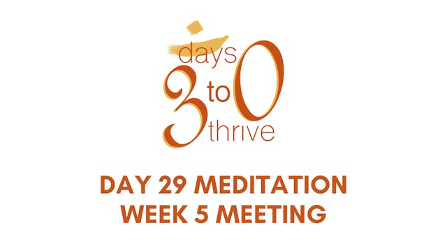 Day 29 Meditation - Week 5 Meeting wi...