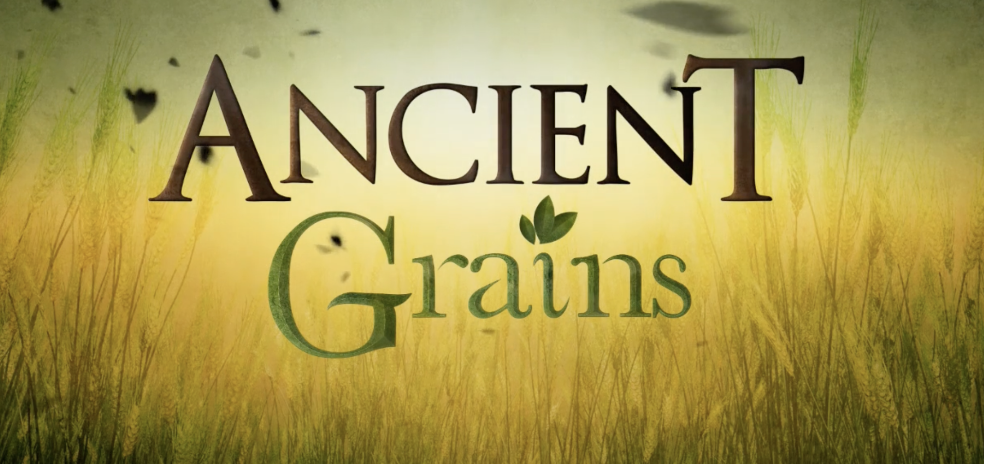 Ancient Grains Ep.4