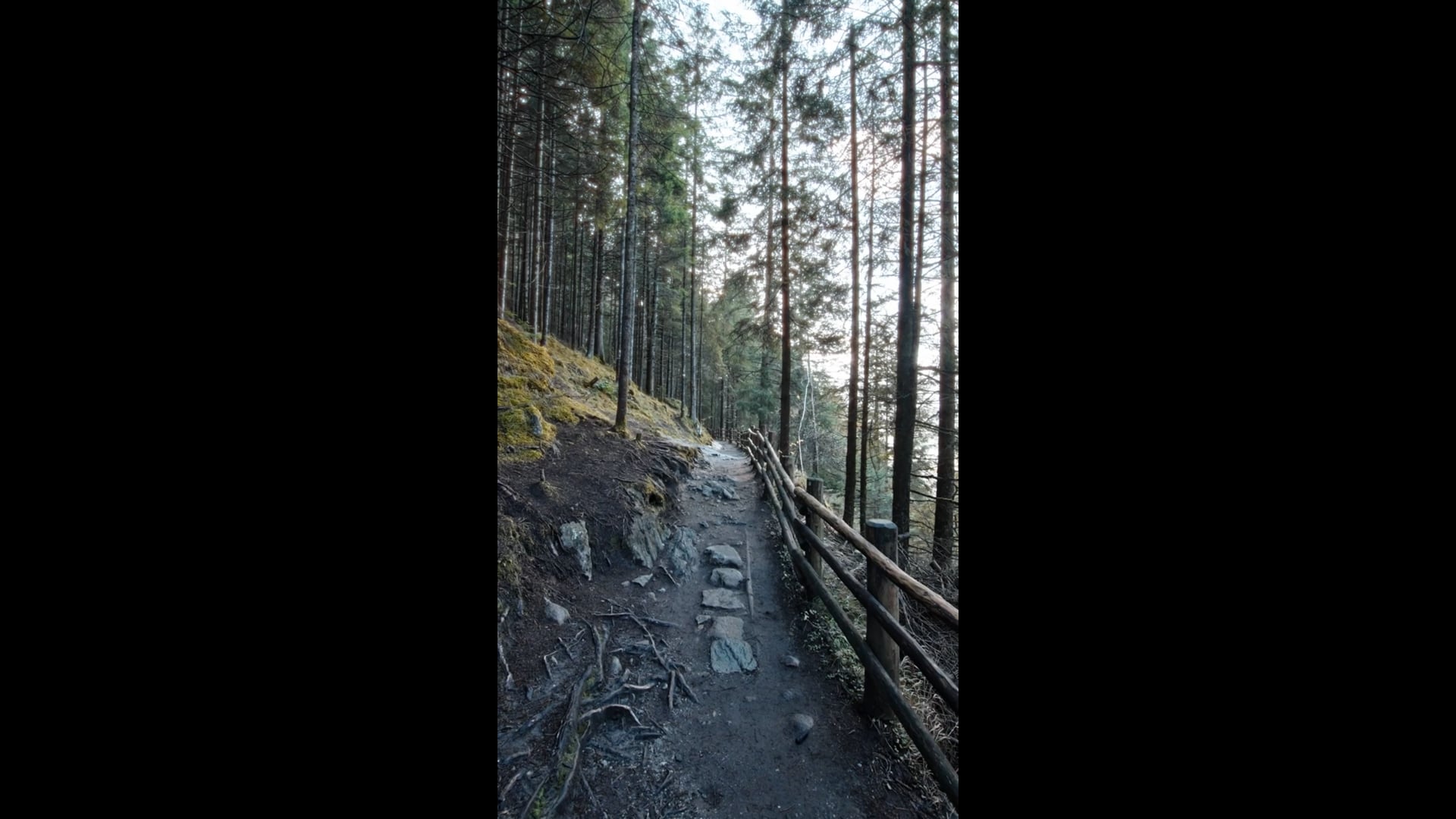 Ranger_bill_vert_ep1