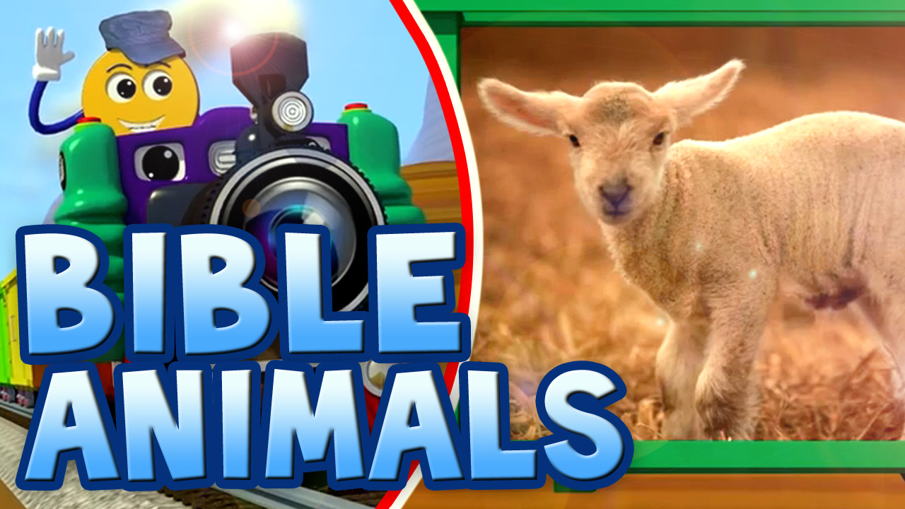 Real Bible Animals-PicTrain