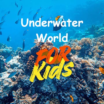 Underwater World for Kids Ep.2