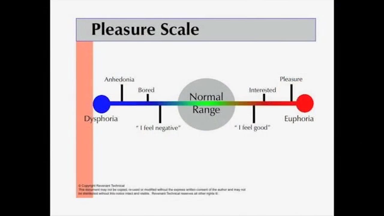 Pleasure Scale, Craving Identification