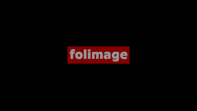 AuBoutDuMonde_H264-HD_num2017