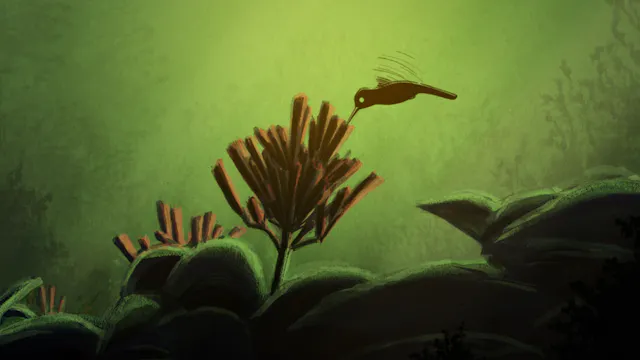 La Légende du colibri / Legend of the Hummingbird